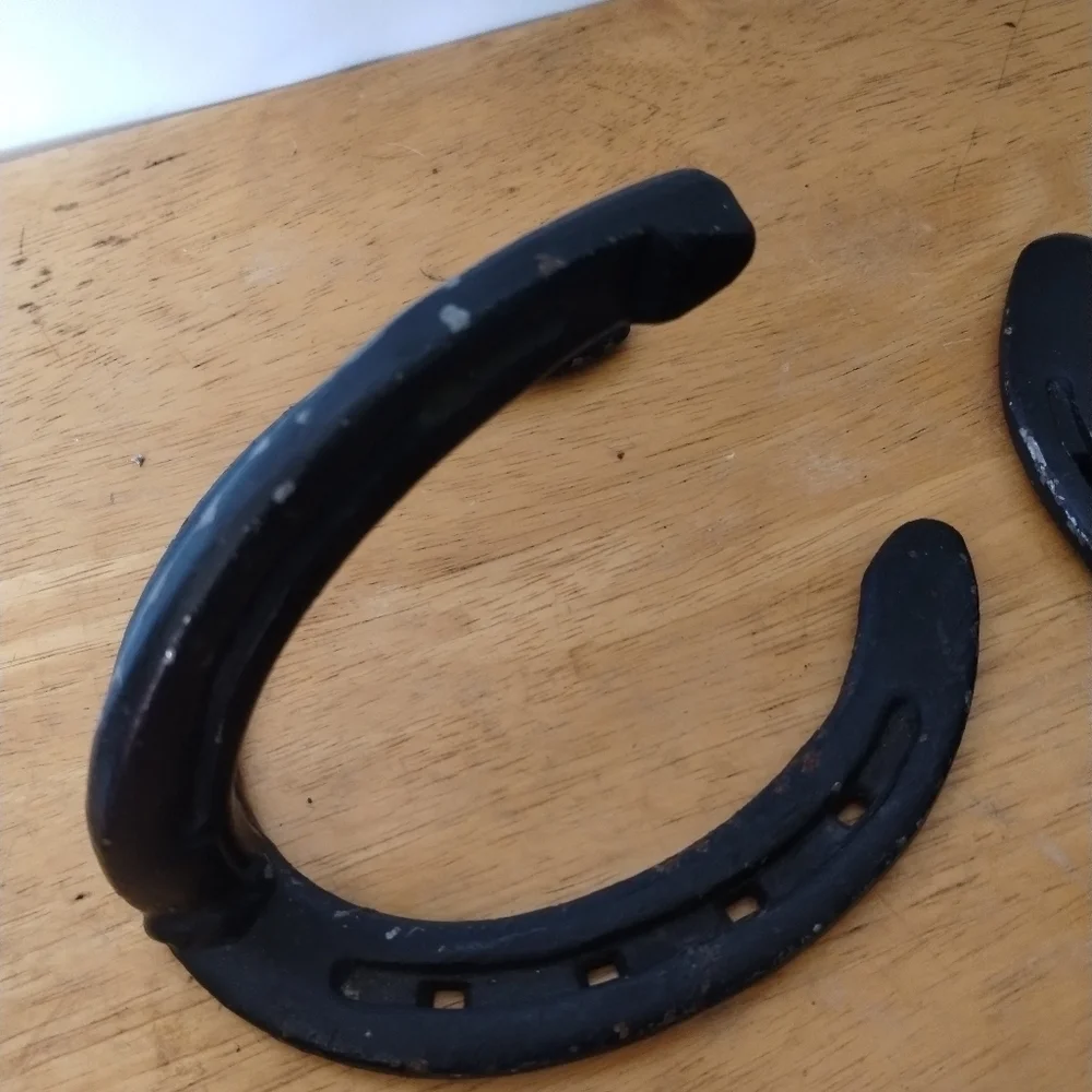 2 Cast iron horseshoe coat hanger home decor